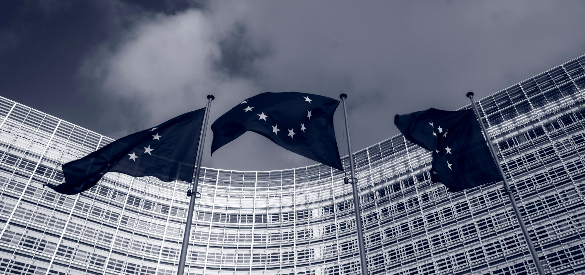 The Omnibus Confusion Aftermath: What Companies Must Do Now