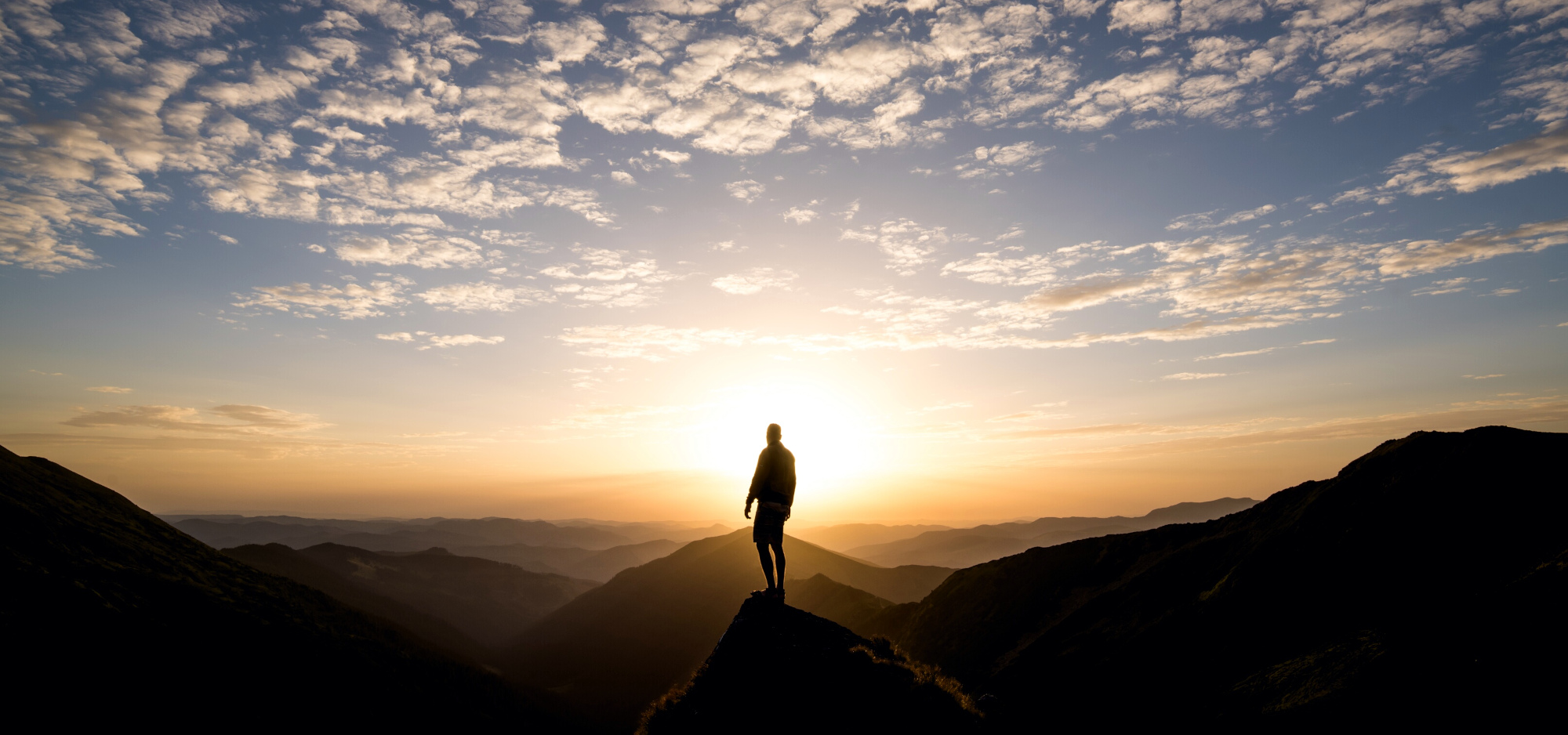 Beyond ESG: Purpose as the Next Frontier in Investing